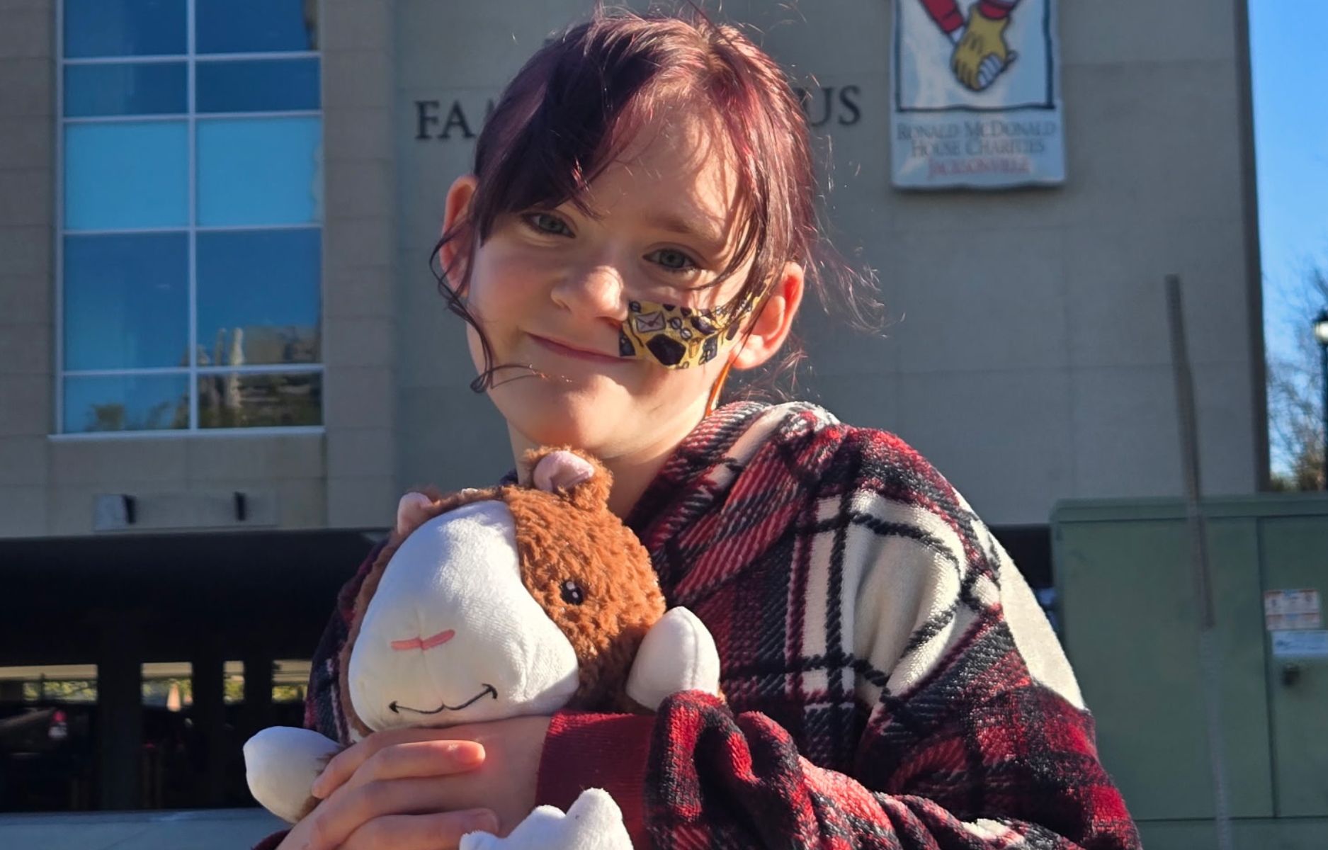Stuffed Animals